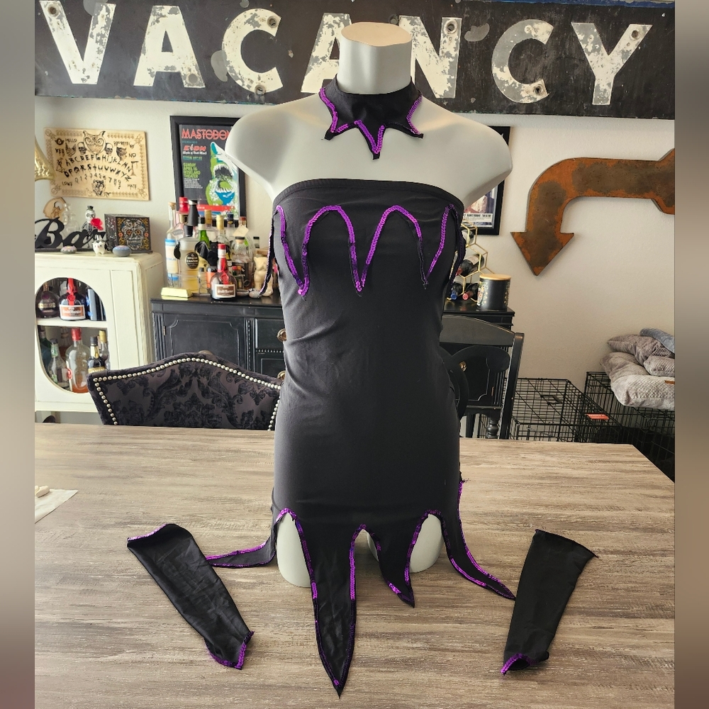 Evil Pixie Costume